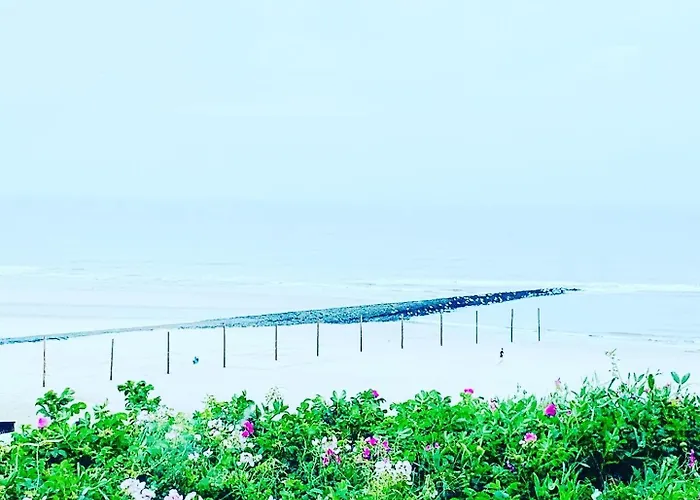 Strandnahe, Moderne Auf Wangerooge, Seeluft 34 Daire Wangerooge